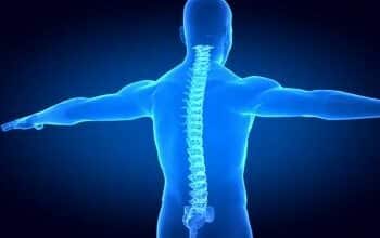 image of a person focusing on their spine