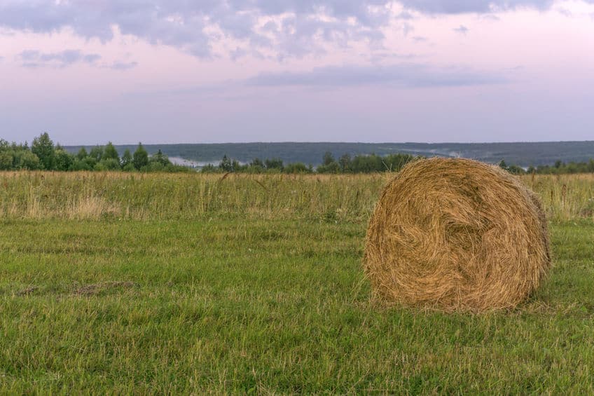 large round bale of hay lays on a beveled meadow